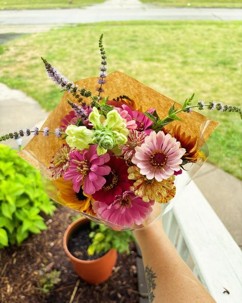 💐❤️💐 $15 Wrapped Bouquets 💐❤️💐 We are offering zinnia and sunflower bouquets. Our gardens are blooming with sunflowers and zinnias, and we want to share these beautiful blooms with you! We hope to have enough to have a tent sale this week! Message us if you would like to pre-order a bouquet today! You can also place custom orders on our website! Backyardbloomsbouquets.com Bouquet Recipes, Zinnia Bouquet, Bouquet Recipe, Cheap Wedding Decorations, Sunflower Bouquets, Tent Sale, Cheap Wedding, Flower Farm, Beautiful Blooms