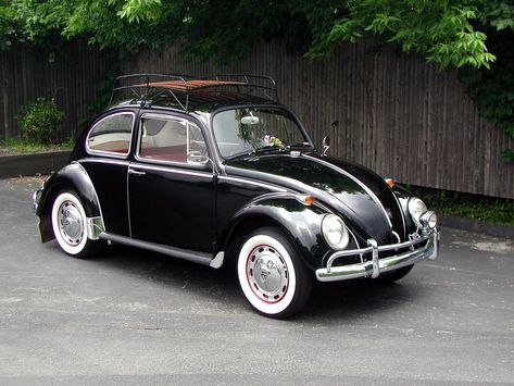 Vw Beetle Custom, Vw Beetle Accessories, Mercedes Auto, Van Vw, Vw Super Beetle, Sandakan, Vw Sedan, Volkswagen New Beetle, Vw Classic