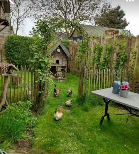 Coop Signs, Coop Decor, Landscaping Backyard, Coop Ideas, Backyard Chicken Farming, Coop Design, Chicken Garden, Diy Chicken, Coop Plans