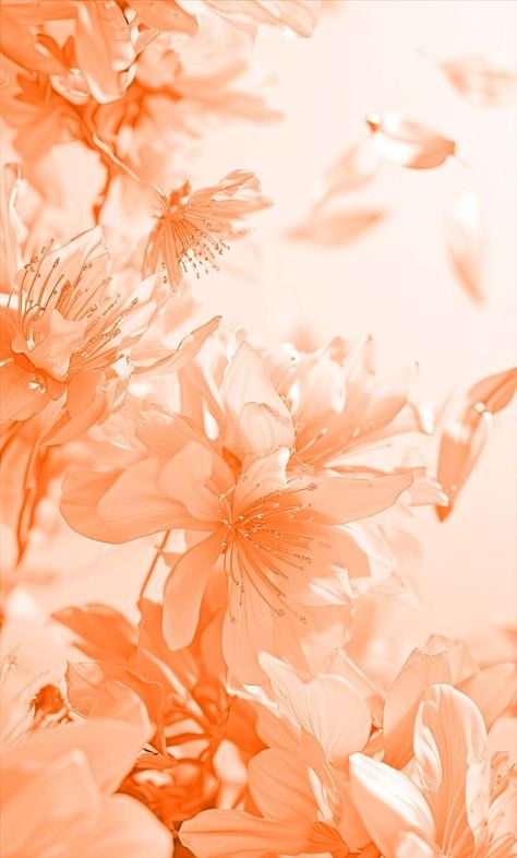 Peach Colour Wallpaper, Coral Color Wallpaper, Peach Wedding Theme, Floral Design Wallpaper, Pantone 2024, Beauty Hair Color, Peach Colour, Peach Aesthetic, Business Colors