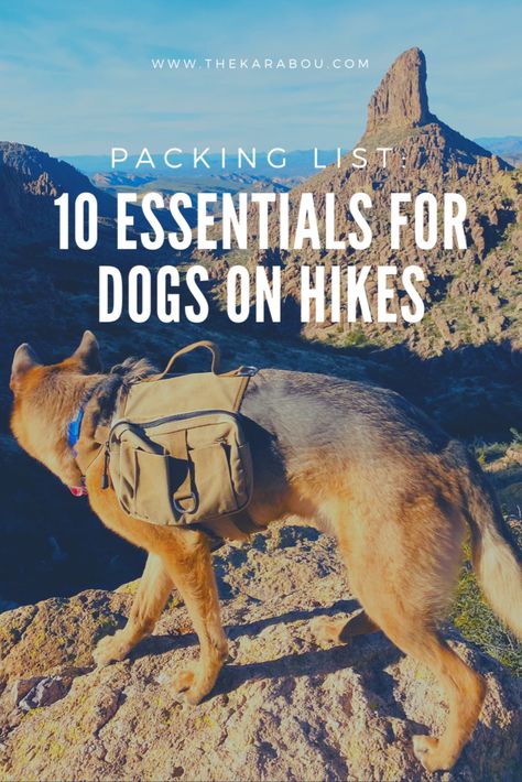 Day Hike Packing List Dog, Hiking Needs List, Dog Hiking Essentials, Hiking With Dogs Packing List, Backpacking With Dogs, Dog Packing List, Dogs Day, Hiking With Dogs, Hiking Dog