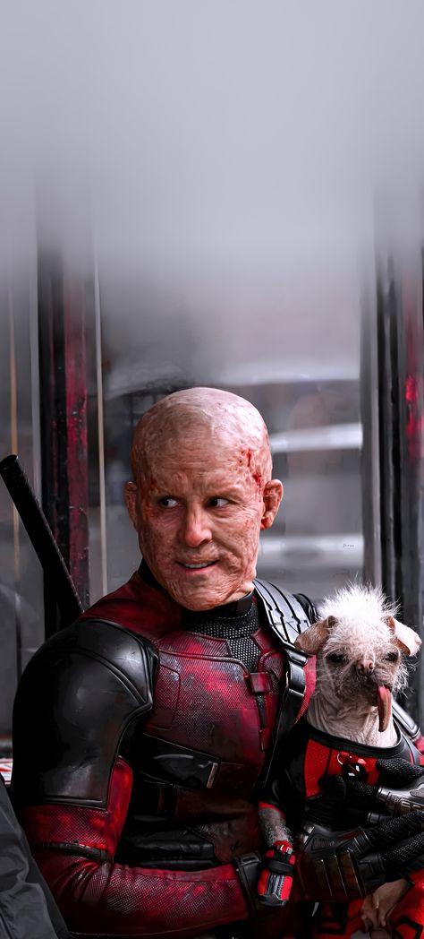 Deadpool and Wolverine Deadpool Without Mask Wade Wilson, Wade Wilson Wallpaper, Deadpool Wade Wilson, Deadpool And Wolverine Dogpool, Deadpool Without Mask, Deadpool Dogpool, Wolverine Wallpaper, Wallpaper Celebrity, Deadpool Artwork