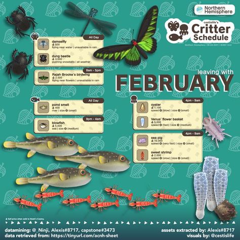 Critter February go Schedule Animal Crossing New Horizons Acnh Hacks, Acnh Journal, Animal Crossing Fish, Acnh Tips, Sea Pig, Flower Reproduction, Pastel Fairy, Cozy Gaming, Animal Crossing Funny