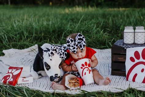 Thick-Fil-A photoshoot with baby calf! Cutest thing EVER #BraeandBougie  #babycow #cow #chickfila #thickfila #sweetbaby #cowphotoshoot #photoshoot #firstbirthday #firstbirthdayphotoshoot #calf #ToriWalkerPhotography Cow Birthday Parties, Baby Clothes Country, Cow Photos, 1st Birthday Photoshoot, First Birthday Pictures, Baby Girl Clothes Winter, Heartwarming Photos, Cow Birthday, Cow Pictures