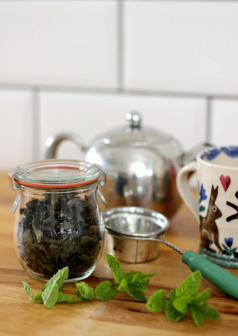 How to dry mint leaves for peppermint tea Dry Mint Leaves, Homemade Febreze, Homemade Reed Diffuser, Drying Mint Leaves, Vegan Vibes, Beeswax Food Wrap, Best Shakes, Peppermint Leaves, Garden Harvest