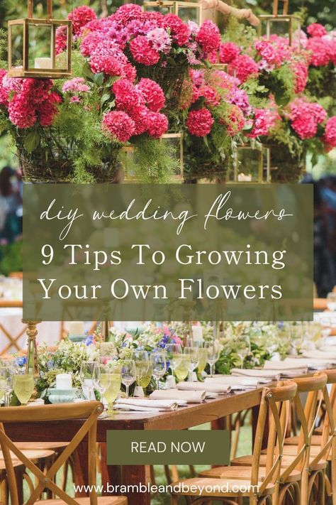 Whether you're a DIY enthusiast or a budget-conscious bride, here are 9 Tips To Growing Your Own Flowers For Your DIY wedding flowers. Explore the world of DIY wedding florals and create unforgettable memories on your special day. This is your go-to resource for discovering how feasible growing your own DIY wedding flowers, wedding decorations on a budget can be. Discover creative ideas and inspiration for your special day while staying within your budget. Wedding With Flowers, Growing Cut Flowers, When To Plant, Wedding Decorations On A Budget, Fragrant Garden, Winter Wedding Flowers, Spring Wedding Flowers, Wedding Flowers Summer, Cut Flower Garden