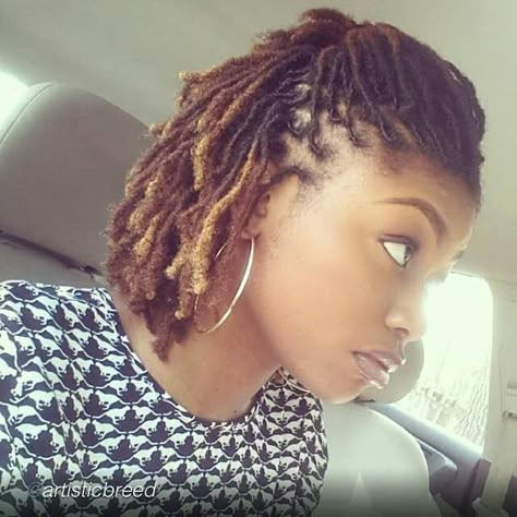 Love it Dreadlocks Updo, Braided Updos, New Natural Hairstyles, Short Locs, Twisted Hair, Short Locs Hairstyles, Dreadlock Styles, Dreads Styles, Short Braids