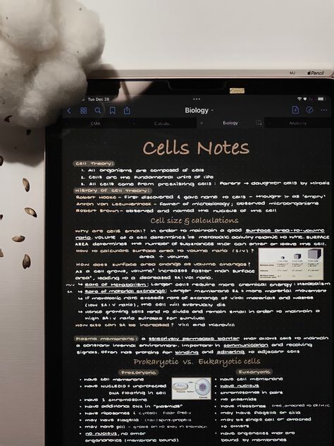 Goodnotes Notes Ideas Aesthetic, Aesthetic Notes Biology Cells, Aesthetic Notes Inspo Biology, Biology Goodnotes, Goodnotes Aesthetic Notes, Biology Digital Notes, Biology Notes On Ipad, Biology Notes Ipad, Digital Notes Aesthetic