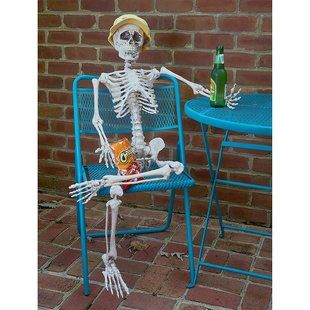 Full Size Poseable Skeleton | Wayfair Skeleton Pics, Skeleton Decorations, Spooky Halloween Decorations, Scary Costumes, Fun Halloween Decor, Funny Skeleton, Scary Halloween Decorations, A Skeleton, Halloween Party Supplies