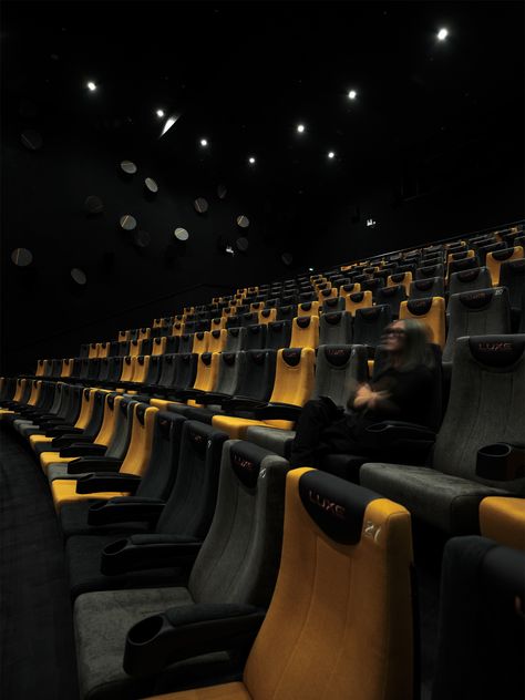 Cinema Hall Aesthetic, Cinema Idea, Auditorium Design, Artificial Grass Wall, Lecture Hall, Cinema Design, Theatre Interior, Shelves Design, Cinema Seats