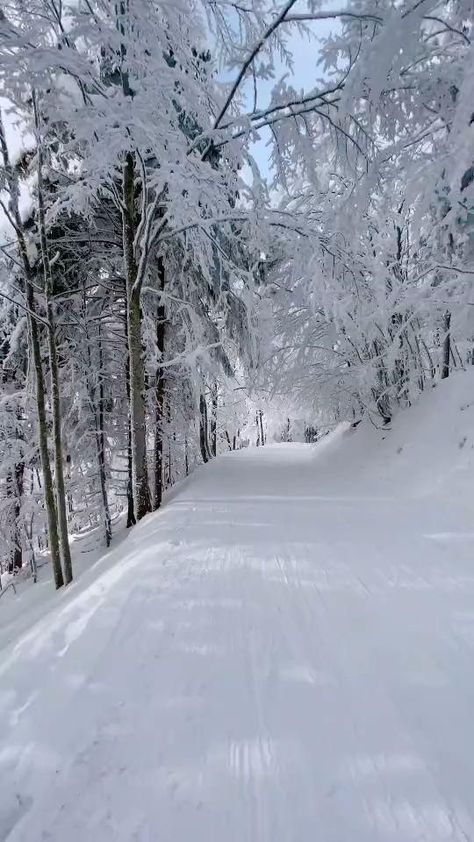 Winter Scenes Wonderland, Winter Photography Nature, Winters Tale, Beautiful Winter Scenes, Nature Valley, Wonder Land, Snoopy Funny, Snow Pictures, Mysterious Places