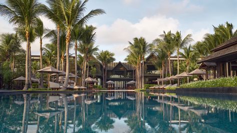 With sparkling views of Choeng Mon Beach, Kimpton Kitalay Samui oceanfront resort channels the island’s tropical charm with 138 rooms, suites and villas. Choeng Mon Beach, Corporate Id, Island Living, Island Resort, Travel Board, The Visitors, Swimming Pools, Favorite Places, Villa