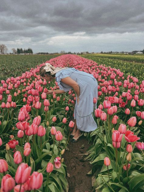 Tulips Tulips Pictures Ideas, Tulip Field Poses, Tulip Feild Pics, Tulip Picking Photos, Tulip Farm Aesthetic, Tulip Field Pictures, Flower Field Photo Ideas, Tulip Picking Outfit, Tulip Photoshoot Photo Ideas