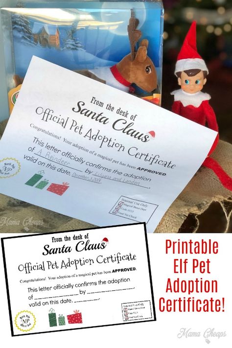 Check out this awesome (and easy!) arrival idea for your introducing your new elf on the shelf PET! Now available are the St. Bernard dog, reindeer and arctic fox. Use our elf pet adoption certificate to make it official!  Easy DIY that you can print in just minutes.   #elfontheshelf #elfideas #printable Introducing New Elf Pet, How To Introduce Elf On The Shelf Reindeer, Introducing Elf On The Shelf Pets, Elf On The Shelf Arrival Ideas With Pet, Artic Fox Elf Pet Arrival, How To Introduce Elf Pet, Elf Dog Ideas, Elf Pets Reindeer Ideas, Elf On The Shelf Pets Reindeer Arrival