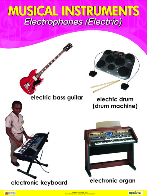 Electrophones or electric instruments Electric Instruments, Music Learning, Class Room, Drum Machine, Music Lessons, Music Stuff, Bass Guitar, Musical Instruments, Reptiles