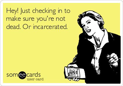 Hey!+Just+checking+in+to+make+sure+you're+not+dead.+Or+incarcerated. Funny Confessions, Crazy Quotes, Funny Thoughts, Retro Humor, Love Me Quotes, Twisted Humor, Life Happens, E Card, Someecards