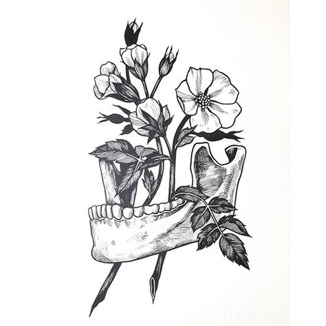 ☼ ☾pinterest: @mollymayburnip ☼ ☾ Tattoo Crane, Kunst Tattoos, Flowers Drawing, Drawing Flowers, Tattoo Design Drawings, Anatomy Art, Skull And Bones, Tattoo Stencils, Skull Art