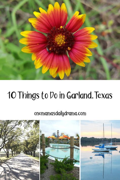 Staycation Ideas Family, Garland Texas, Bucket List Family, Wave Pool, The Suburbs, Fun Family Activities, Texas Travel, Nature Preserve, Picnic Area