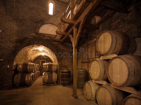 Winecellar. Wine barrels stacked in the old cellar of the vinery , #ad, #barrels, #Wine, #Winecellar, #vinery, #cellar #ad Alcoholic Food, Castle Floor Plan, Old Basement, Wine Vineyards, Wine Barrels, City Illustration, Wine Barrel, Fine Wine, Wine Cellar