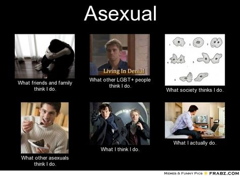 Asexual Asexual Reproduction, Asexual Humor, Lgbt Humor, Lgbt Memes, Ace Pride, Asexual Pride, Gay Humor, Gay Memes, The Story