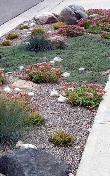 Xeriscape Front Yard, Front Landscape, Gravel Landscaping, Lawn Alternatives, Small Front Yard Landscaping, Front Yard Design, Gravel Garden, Low Maintenance Landscaping, Rock Garden Landscaping