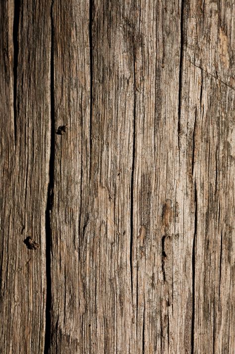 Jonnn Rough Wood Texture, Raw Wood Texture, Wood Png, Old Wood Doors, Old Wood Texture, Tree Textures, Aged Wood, Rough Wood, Watercolor Architecture