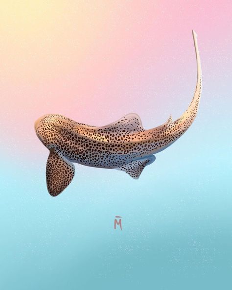 MON on Instagram: “Been feeling the pastel vibes lately, this is my fave out of all the leopard sharks I did! I’ve done so many I could probably draw 1 blind…” Leopard Shark Drawing, Zebra Shark, Shark Painting, Leopard Shark, Shark Photos, Shark Drawing, Lock Screens, Camera Bags, The Leopard