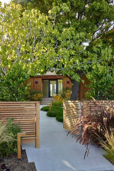 CONTACT US ABOUT YOUR PROJECT AND/OR CALL THE OFFICE:415-332-1485 1306A Bridgeway Blvd Sausalitio, CA 94965 office: 415-332-1485  info@shadesofgreenla.com Private Garden Design, Mid Century Modern House Exterior, Front Yard Patio, Sustainable Landscaping, Front Yard Design, Front Yard Fence, Yard Design, Green Landscape, Mid Century Modern House