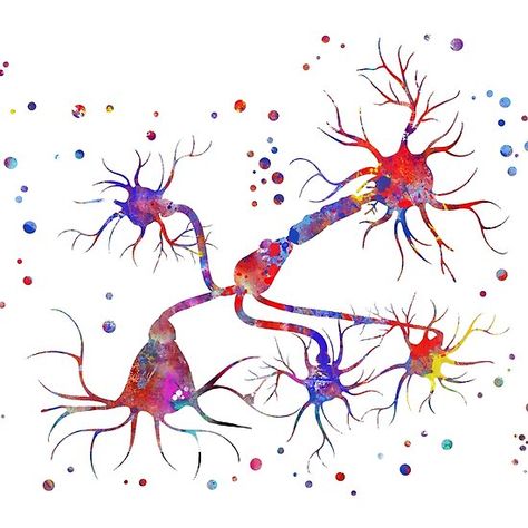 Neurotransmitter release mechanisms Neurotransmitters Art, Business Entrepreneurship, Hardcover Notebook, Hardcover Journals, Graphic Design Inspiration, Wood Print, Art References, Art Boards, Photographic Print