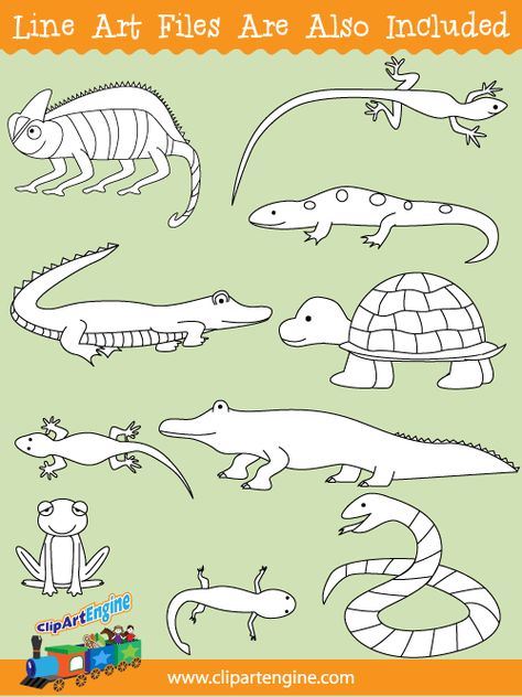 Black and white line art files are also included as part of this collection of reptiles and amphibians clip art. Amphibians Drawing, Reptiles Drawing, Crawling Animals, Toddler Organization, Black And White Line Art, White Line Art, Animal Activities, Black And White Lines, A Turtle