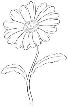 Draw A Daisy, Daisy Drawing, Outline Images, Leaf Outline, Flower Drawing Tutorials, Flower Sketches, Pola Sulam, Flower Coloring Pages, Flower Doodles