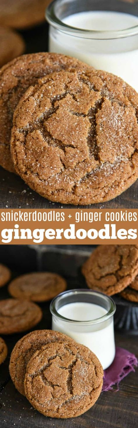 Gingerdoodle Cookies: a cross between a chewy gingerbread cookie and a classic snickerdoodle to create a new Christmas cookie that will be an instant favorite! Gingerdoodle Cookies, Chewy Gingerbread Cookies, Cinnamon Twists, Cookies And Milk, Eat Cookies, Cinnamon Recipes, Crinkle Cookies, Ginger Cookies, Gingerbread Cookie