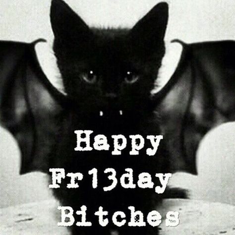 Happy Friday The 13th Bitches Pictures, Photos, and Images for Facebook, Tumblr, Pinterest, and Twitter Friday Coffee Quotes, Friday The 13th Quotes, Happy Friday Humour, Friday Funny Pictures, Friday The 13th Funny, Friday The 13th Memes, Friday The 13th Poster, Tgif Funny, Friday The 13th Tattoo