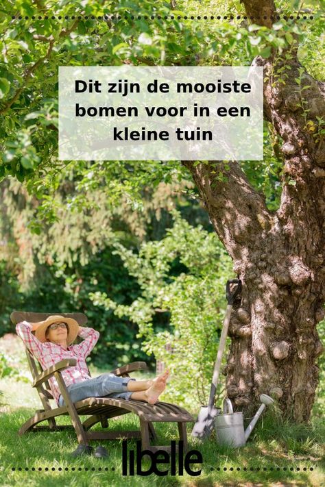 Ideaal: dít zijn de leukste bomen voor in een kleine tuin Homestead Gardens, Plant Projects, Rustic Retreat, Home Makeover, Garden Architecture, School Yard, City Garden, Budget Diy, Decoration Idea