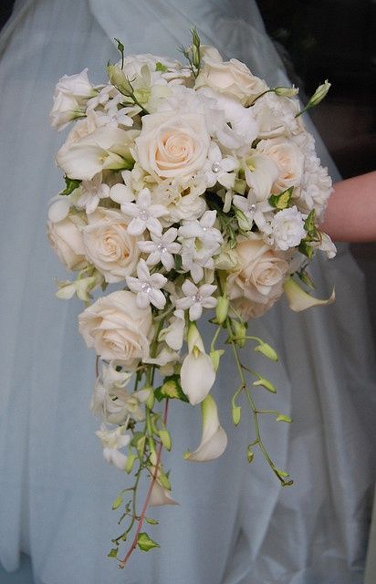 Cascading bridal bouquet without the calla lilies, and baby's breath instead of the stephanotis flowers, and some pink and white roses for bridal pictures