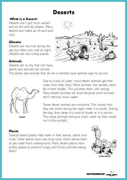 EasyTeaching.net | Resources for Teaching Primary School Desert Habitat, Teaching Primary School, Birthday Cake Clip Art, Desert Biome, Biological Science, Rainforest Animals, Desert Animals, Summer Program, Science Resources