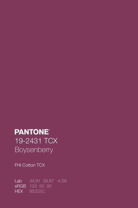 Boysenberry Color, Boutique Exterior, Mood Boards Color, Pantone Paint, Pantone Trends, Color Library, Pantone Colour Palettes, Palette Design, Color Trends Fashion