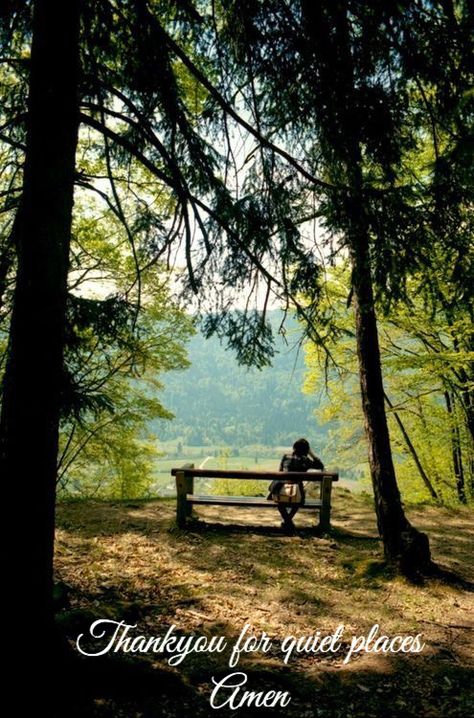 Sitting On A Bench, Zen Meditation, Peaceful Places, Jolie Photo, Quiet Time, Country Life, Beautiful World, In The Middle, Happy Places