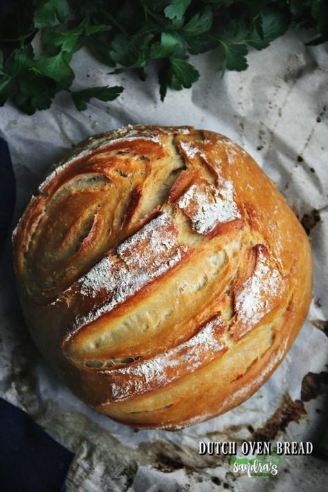 Dutch Oven Bread: Bread for beginners | Sandra's Easy Cooking Bread For Beginners, Fried Chicken Breast Recipe, Yeast Free Breads, Best Dutch Oven, Oven Bread, Dutch Oven Bread, Camping Breakfast, Dinner Sandwiches, Dutch Oven Recipes