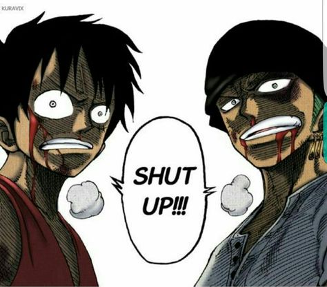 Shut up!!!, text, Luffy, Zoro, angry; One Piece Cp9 One Piece, Luffy And Zoro, Tekken Wallpaper, Hiro Big Hero 6, One Piece Funny, Zoro One Piece, One Peice Anime, One Piece Drawing, One Piece Images