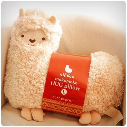 Llama Nursery, Hug Pillow, Cute Alpaca, Llama Drama, Llama Alpaca, Cute Llama, Funny Nurse, Softies, San Valentino