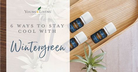 Chill out: 6 ways to stay cool with Wintergreen essential oil - Young Living Australia Wintergreen Essential Oil Young Living, Wintergreen Essential Oil, Manuka Oil, Forearm Stand, Cool Guy, Need A Break, Hot Oil, Oil Uses, Essential Oil Uses