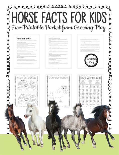 Parts Of A Horse Printable, 4h Horse Poster Ideas, Horse Lesson Plans, Horse Games For Kids, Horse Camp Activities, Horse Facts For Kids, Horse Activities, Horse Study, Horse Business