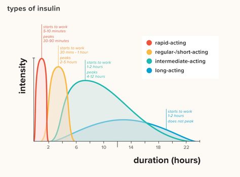 Types of Insulin Chart: Duration, Comparison, and More Insulin Chart, Nerdy Nurse, Insulin Therapy, Types Of Insulin, Yoga Information, Nursing School Notes, Nursing Study, Nursing Notes, Insulin Resistance