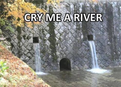 [Image - 658439] | Cry Me a River | Know Your Meme Cry Me A River, Funny Pins, Funny Faces, Bones Funny, Trending Memes, Picture Photo, I Laughed, Funny Pictures, Funny Quotes