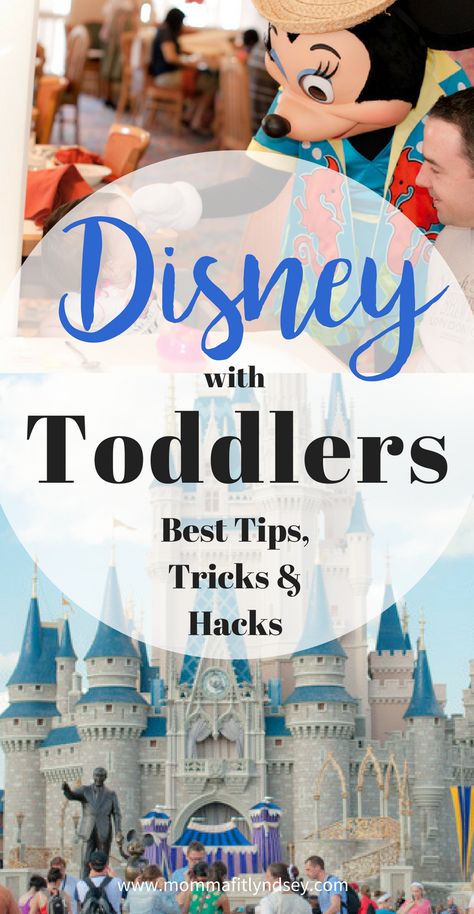 Rides At Disney World, Disney With Toddlers, Tips For Disney World, Disney With Kids, Disney World With Kids, Disney World With Toddlers, Disney With A Toddler, Disney Cruise Tips, Disney 2023