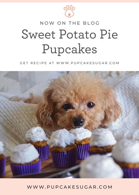 Dog Sweet Potato Pie, Sweet Potato Dog Cake, Dog Birthday Cake Sweet Potato, Pupcake Recipe, Pet Treats Recipes, Dog Cupcakes, Easy Dog Treat Recipes, Sweet Potatoes For Dogs, Easy Dog Treats