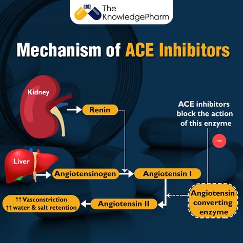 ACE inhibitors produce vasodilation by inhibiting the formation of angiotensin II. This vasoconstrictor is formed by the proteolytic action of renin (released by the kidneys) acting on circulating angiotensinogen to form angiotensin I. Angiotensin I is then converted to angiotensin II by angiotensin converting enzyme. 😊  #Theknowledgepharm #ACEInhibitors #PharmacyKnowledge #Inhibitors #Pharmacy #Pharmacology #Drug #body #medicalstudents #pharmacystudents #biology #medicine #healthcare #drugs Ace Inhibitors Pharmacology, Ace Inhibitors Nursing, Sglt2 Inhibitors, Ace Inhibitors, What Is Intelligence, Nerdy Nurse, Np School, Independence Day Quotes, Student Tips