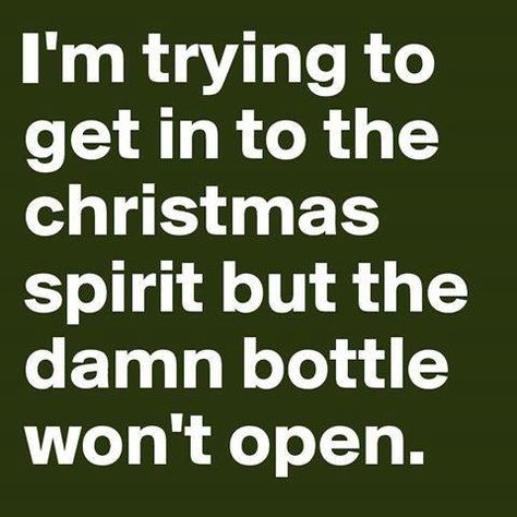 Quotes Alcohol, Funny Christmas Quotes, Sarcastic Christmas, Card Quotes, Christmas Puns, Truth Ideas, Funny Quotes For Kids, Christmas Memes, Merry Christmas Funny