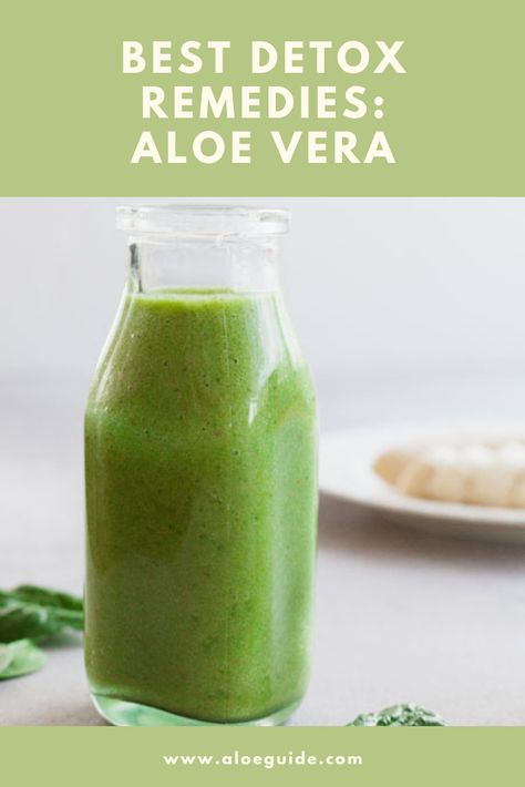 Feeling body weak and tired? You might need to do a body cleansing AKA body detoxification. Discover how to use aloe vera for detox! Gym Routines, Kimberly Snyder, Most Effective Diet, Best Smoothie, Homemade Detox, Smoothie Cleanse, Speed Up Metabolism, Raspberry Smoothie, Detox Water Recipes